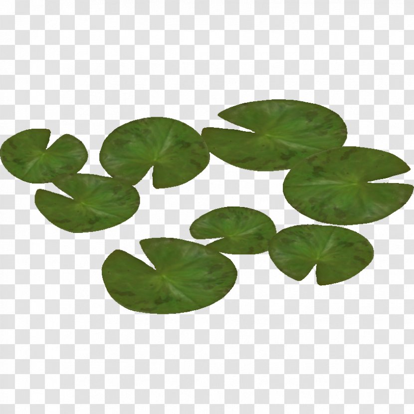Water Lily 2011 Ford Ranger - Display Resolution - Pic Transparent PNG