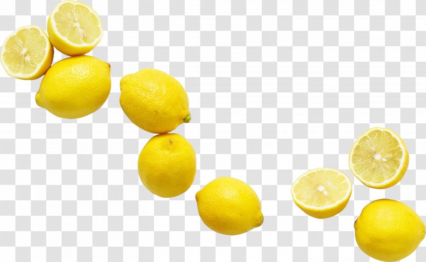 Logo Lemon - Net - White Slices Free To Pull Transparent PNG