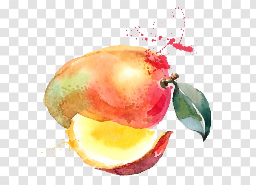 Juice Smoothie Mango Watercolor Painting Drawing - Accesories Transparent PNG