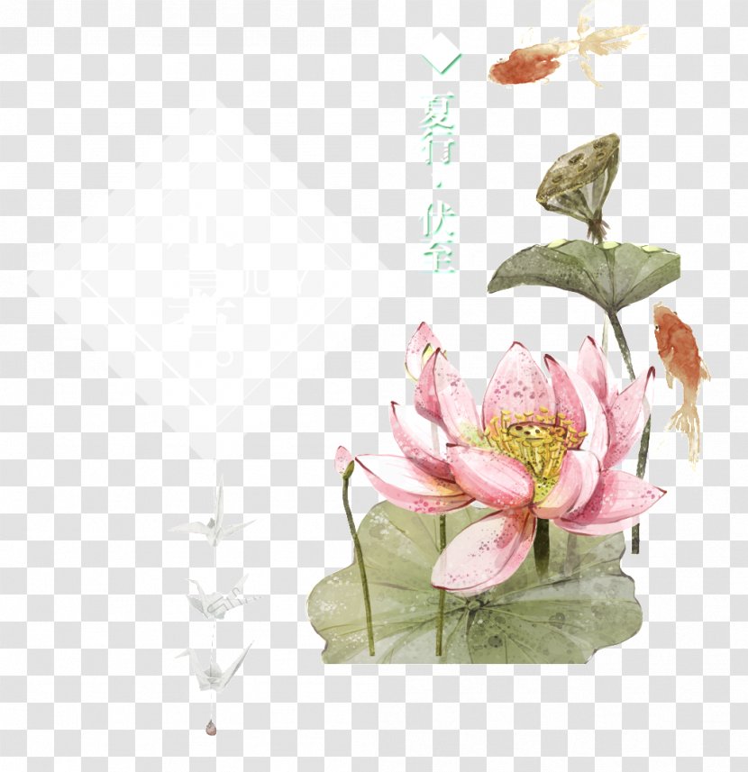 Floral Design Image Vector Graphics - Magnolia - Chinese Painting Lotus Transparent PNG