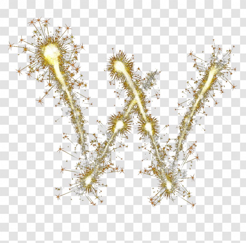 Letter Fireworks Font - Twig - W Transparent PNG