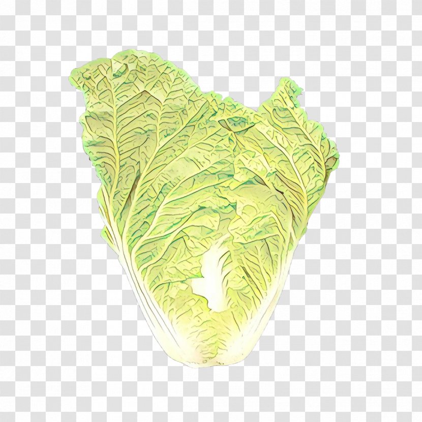 Leaf Green Cabbage Plant Vegetable - Lettuce - Romaine Transparent PNG