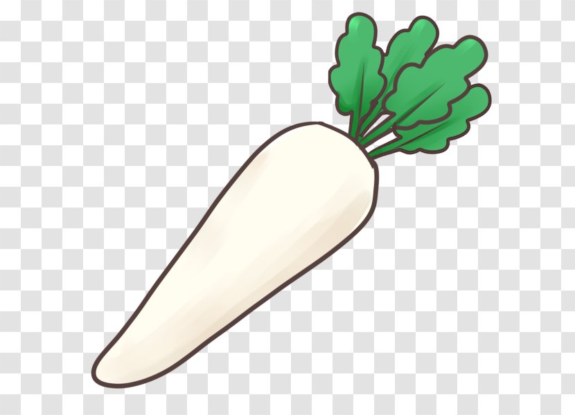 Vegetable Daikon Food Napa Cabbage Clip Art - Eggplant Transparent PNG