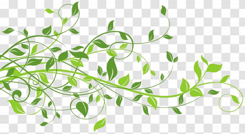 Leaf Clip Art - Flora - Spring Decor With Leaves Image Transparent PNG