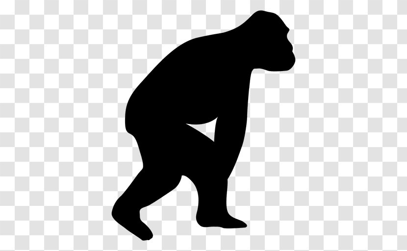 Ape Neandertal Evolution Homo Sapiens - Male - Orangutan Transparent PNG