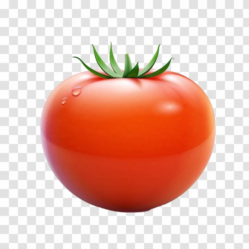 Plum Tomato Cherry Euclidean Vector - Food Transparent PNG