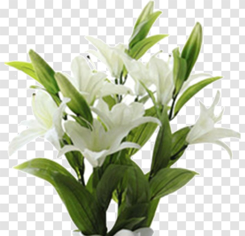 Cut Flowers Lilium Floral Design Plant - Taobao Decoration Transparent PNG