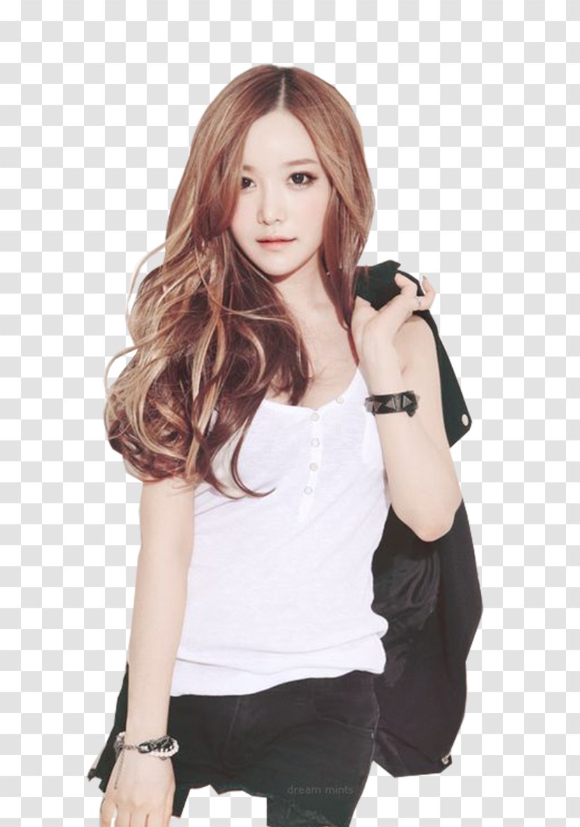 Ulzzang Fashion Hairstyle Artificial Hair Integrations - Tree - School Model Transparent PNG