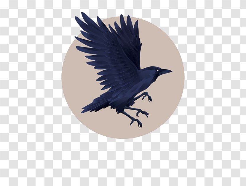 Graphic Design Little Crow Illustration - Beak - Blue Transparent PNG