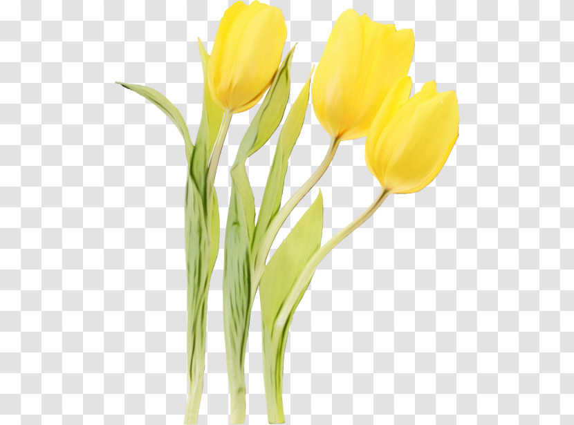 Artificial Flower Transparent PNG