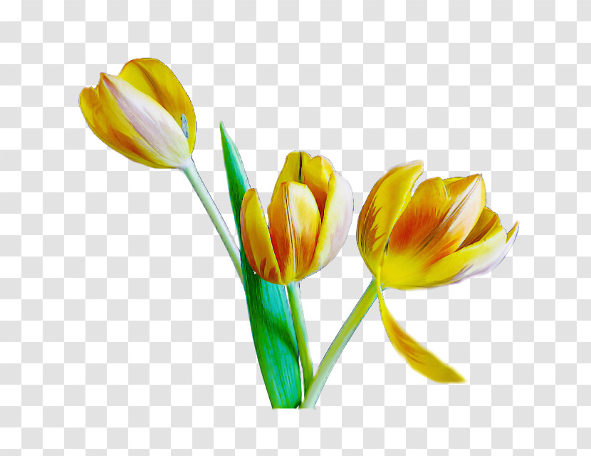 Artificial Flower Transparent PNG