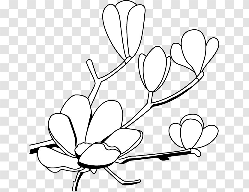 Southern Magnolia Drawing Clip Art - Silhouette - Cliparts Transparent PNG