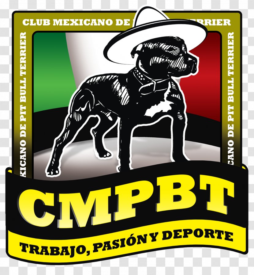 American Pit Bull Terrier Samuel Ramos Magaña Charro - Caricature Transparent PNG