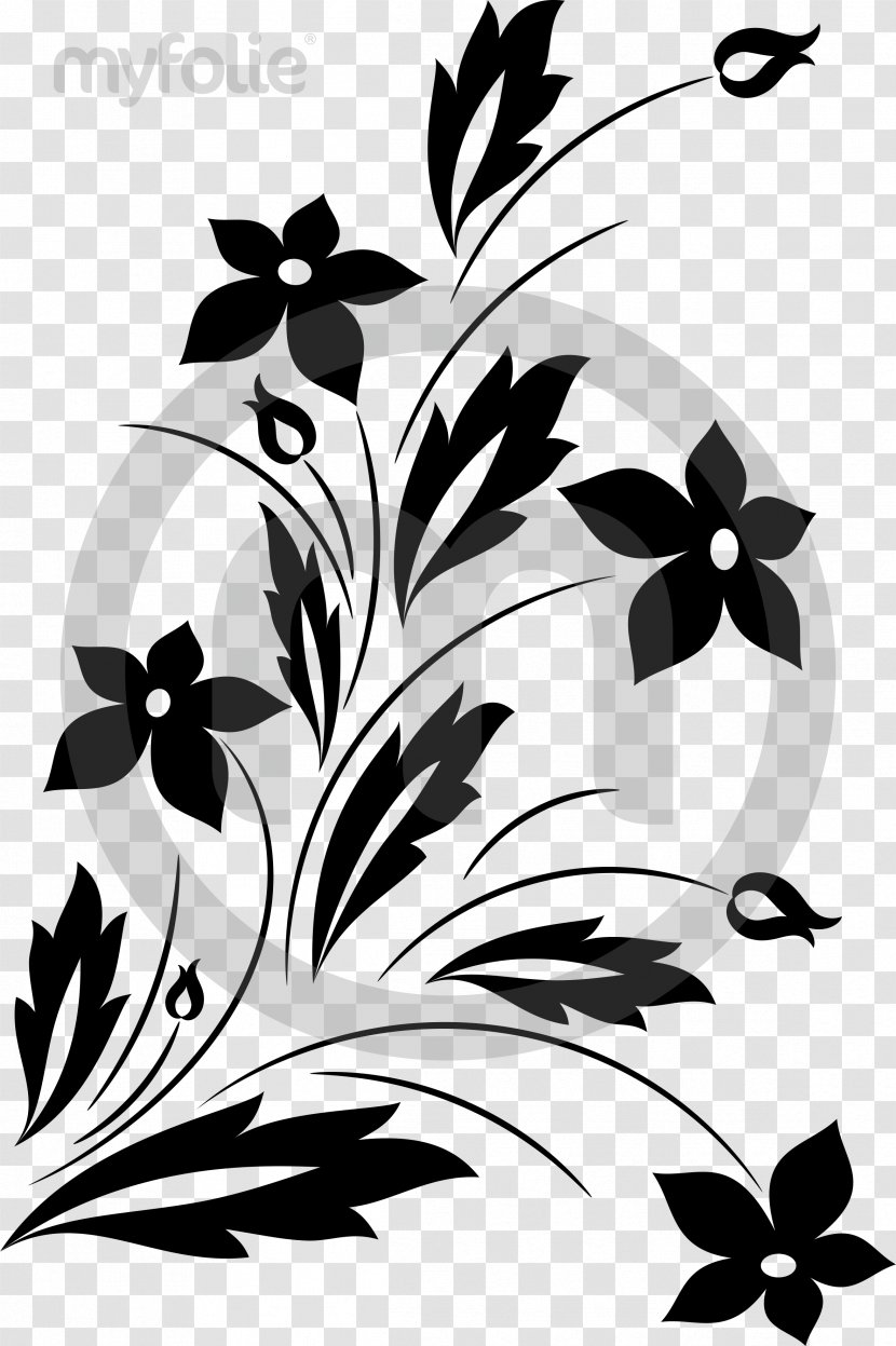 Clip Art Floral Design Flower Ornament CD-ROM And Book Black - White Transparent PNG