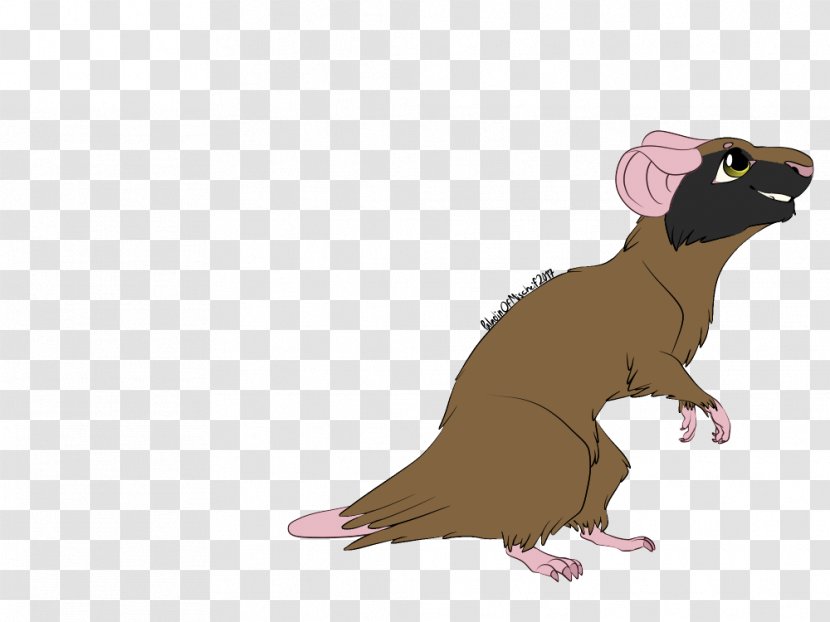 Ferret Rodent Carnivora Mammal - Rat & Mouse Transparent PNG