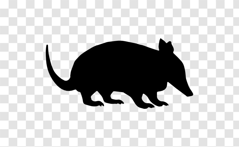Anteater Armadillo - Rodent - Silhouette Transparent PNG
