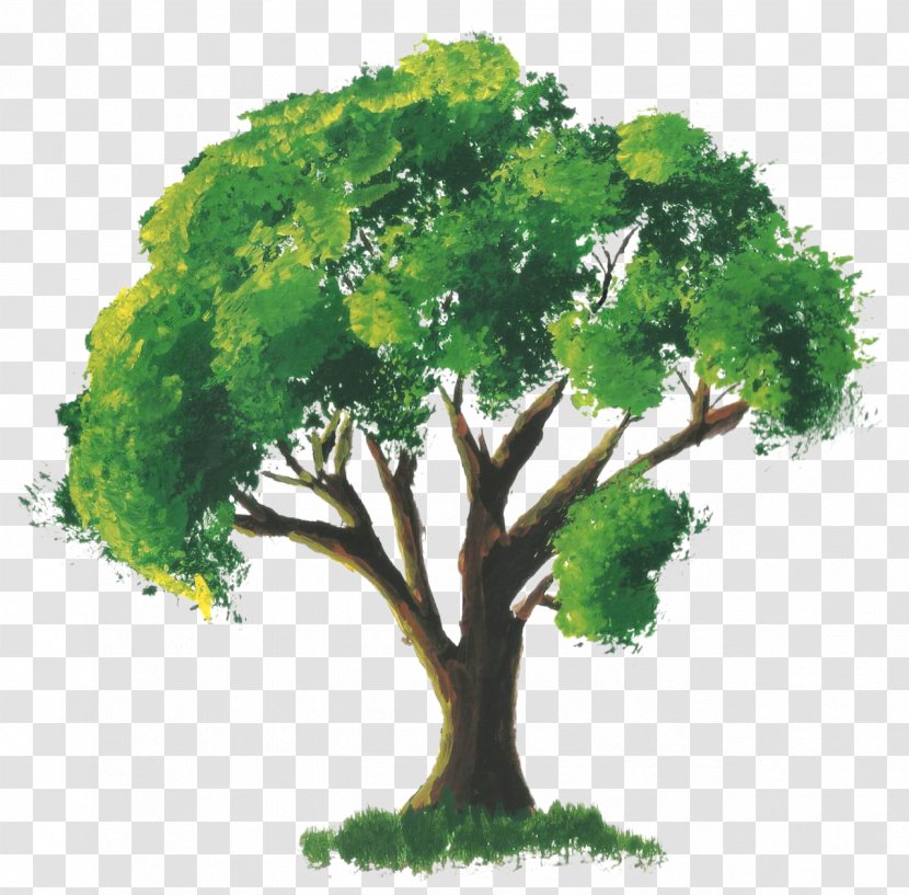 Tree Watercolor Painting Room - Silhouette Transparent PNG