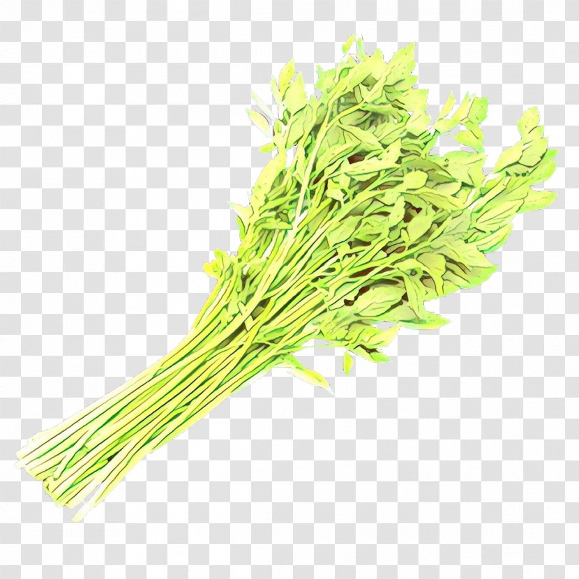 Cartoon Grass - Scallion - Chives Chinese Celery Transparent PNG