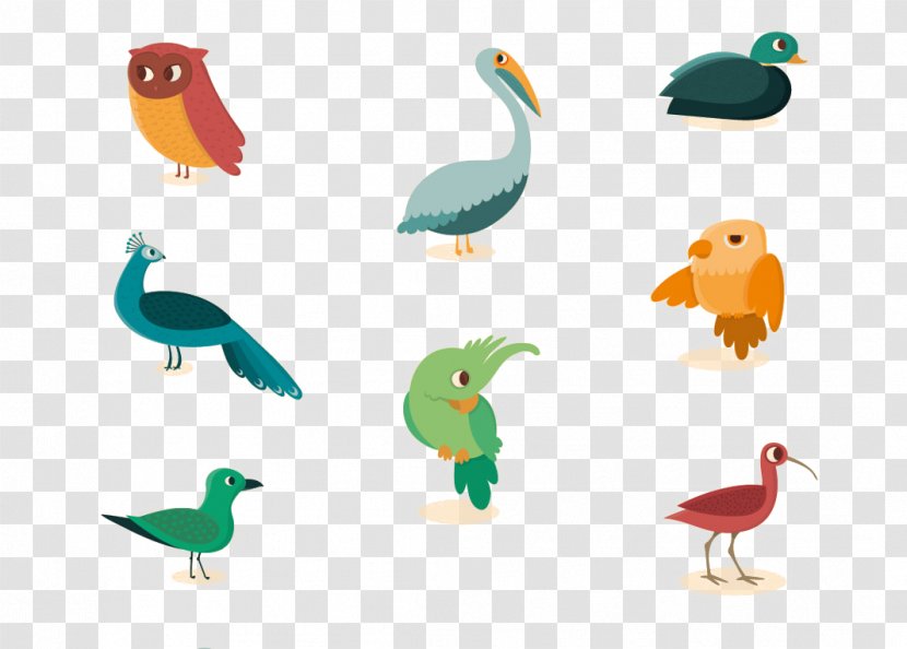 Bird Duck Cartoon Illustration - Project - Owl Parrot Peacock Birds Goose Transparent PNG