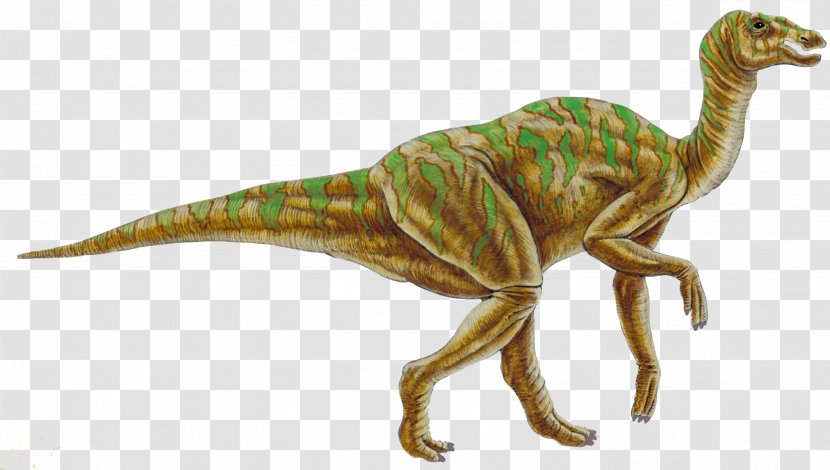 Hadrosaurus Kritosaurus Gryposaurus Academy Of Natural Sciences Drexel University Dinosaur - Cretaceous Transparent PNG