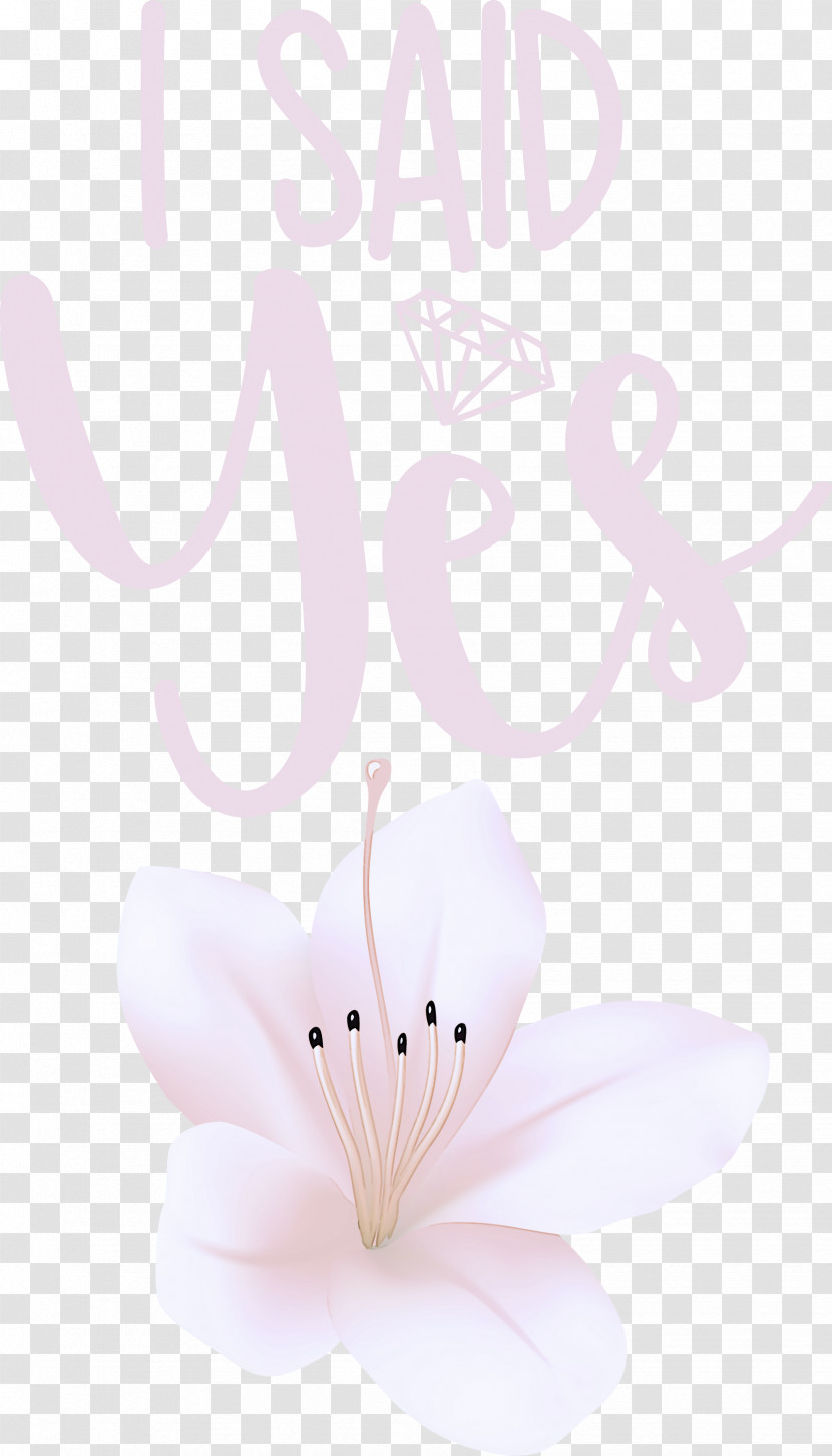 I Said Yes She Said Yes Wedding Transparent PNG