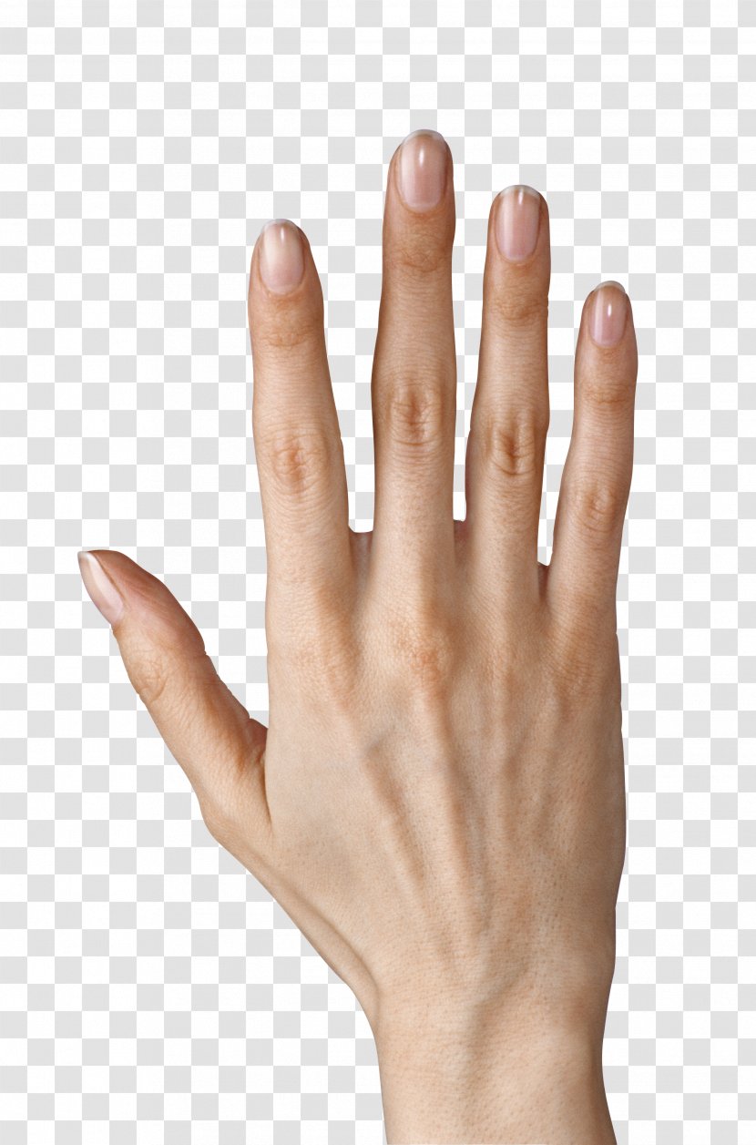 Finger Icon Computer File - Display Resolution - Hand Showing Five Fingers Clipart Image Transparent PNG