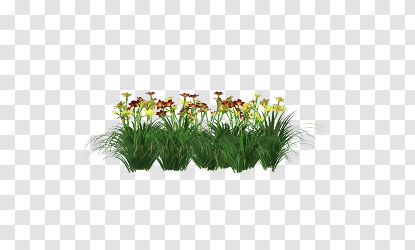 Grasses Flowerpot Plant Stem Shrub - Flower Transparent PNG