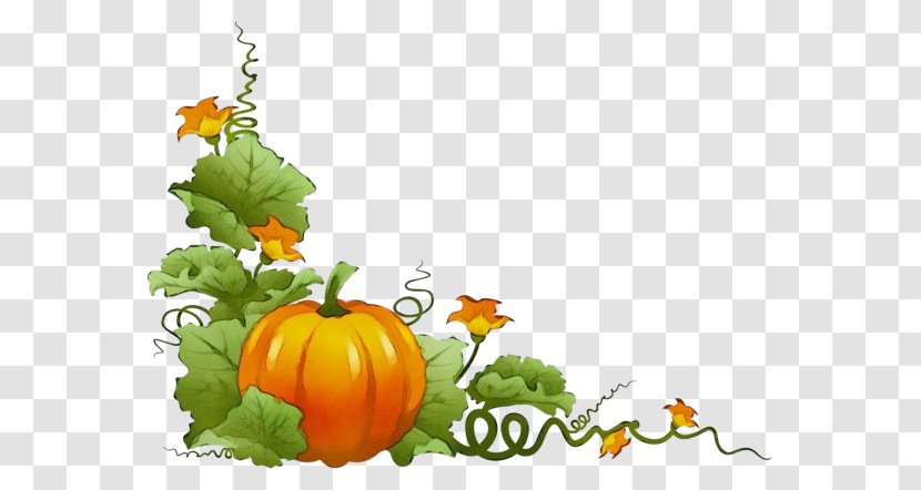 Pumpkin - Orange - Leaf Transparent PNG