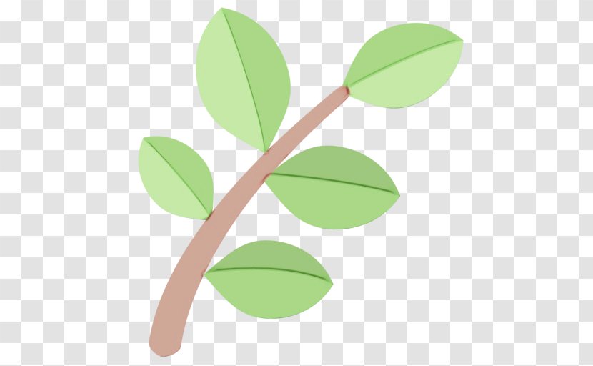 Leaf Green Plant Flower Tree - Stem Branch Transparent PNG