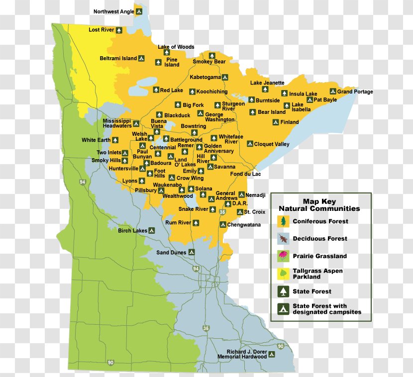 Chengwatana State Forest Pillsbury Minnesota Department Of Natural Resources Superior National - Plan Transparent PNG