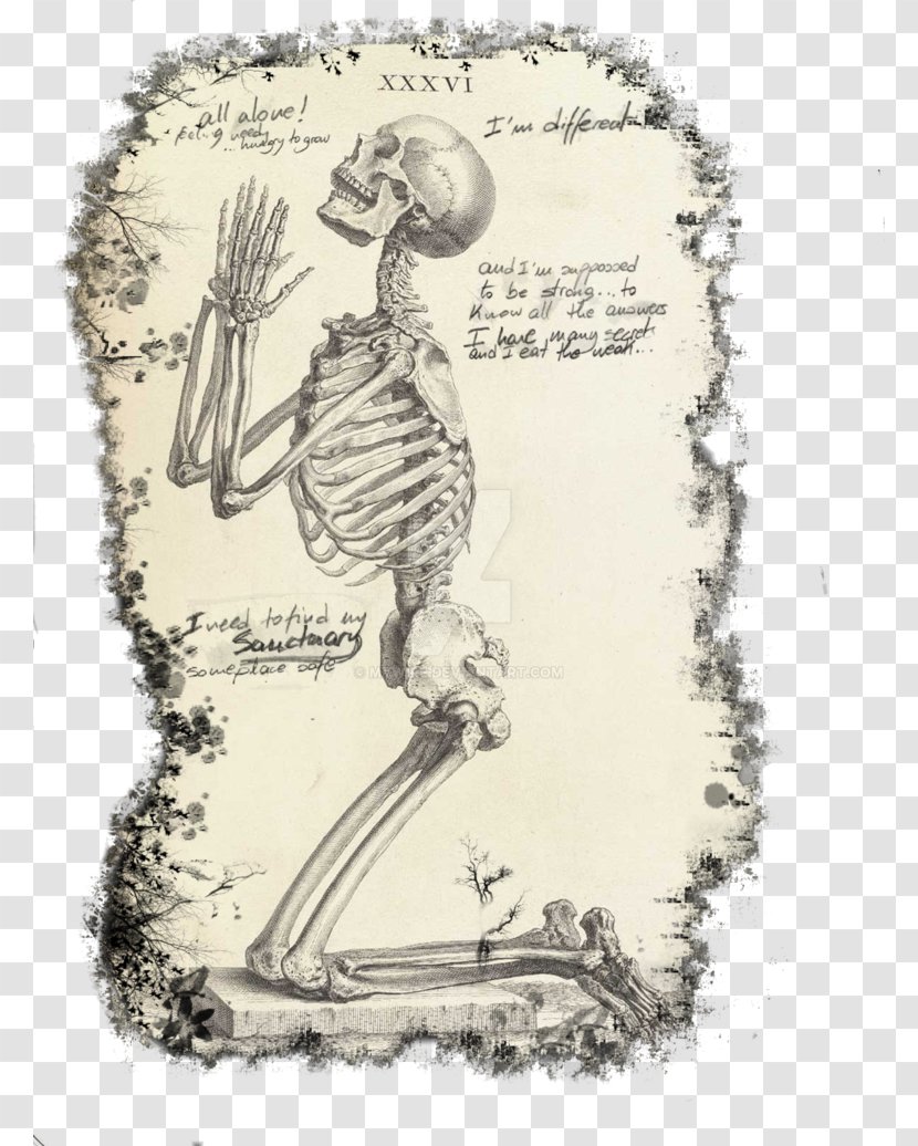 Praying Hands Prayer Human Skeleton The Anatomy Of Body - Cartoon Transparent PNG