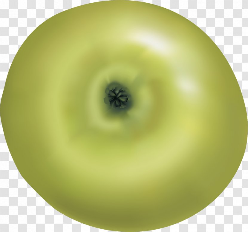Granny Smith Apple - Green - Bottom Transparent PNG