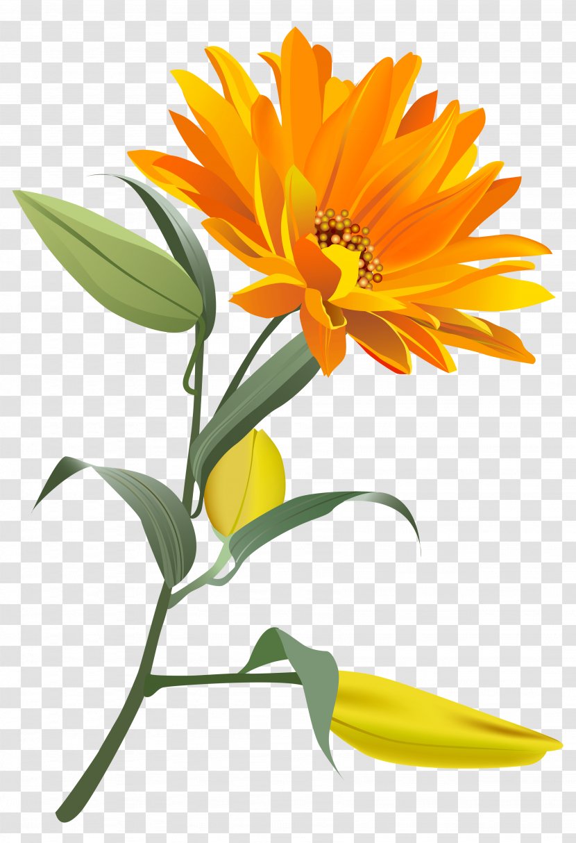 Flower Clip Art - Color - Orange Image Transparent PNG