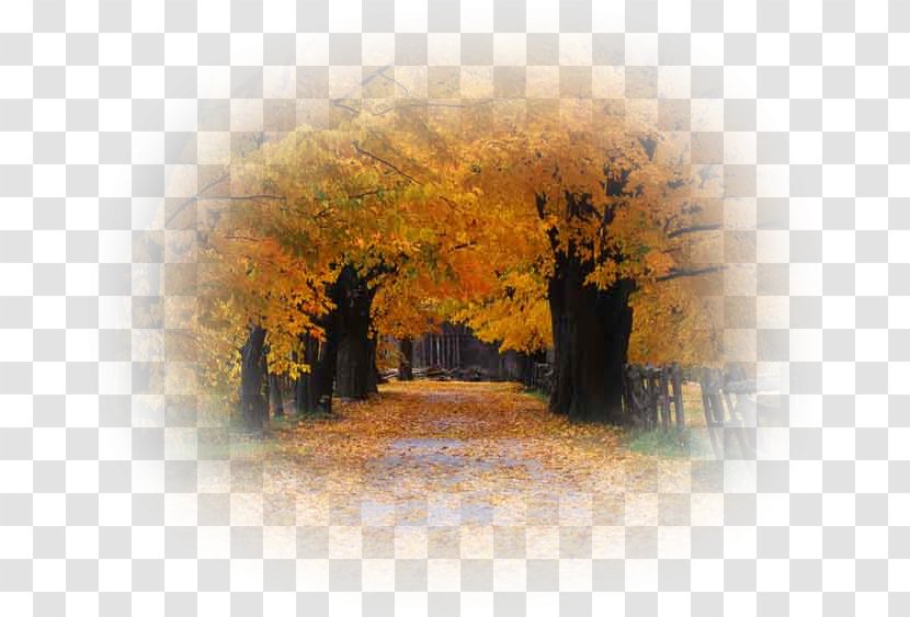 Desktop Wallpaper Autumn Season - Android Transparent PNG