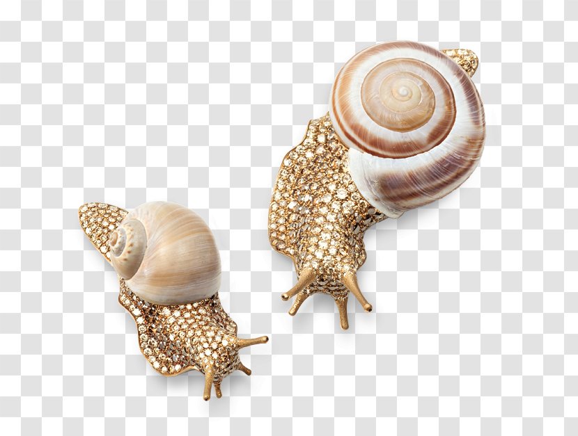 Jewellery Brooch Earring Diamond Pin - Charms Pendants - Snail Transparent PNG