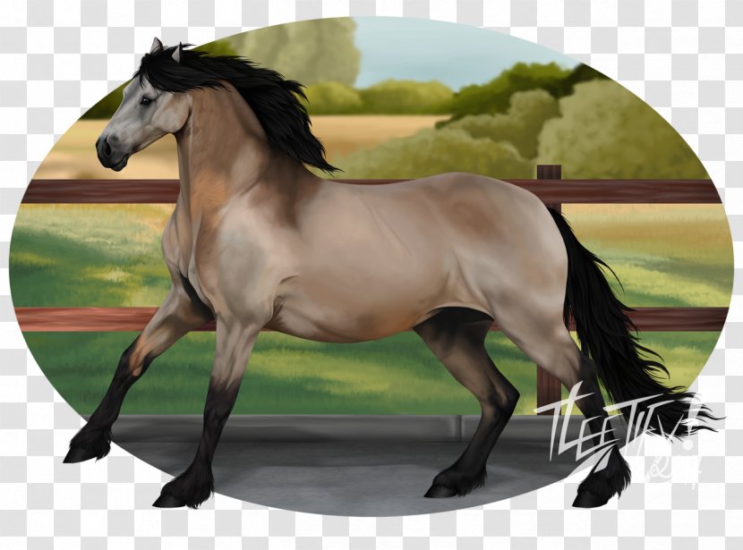 Horse Digital Art Painting Drawing - Mane - Realism Transparent PNG
