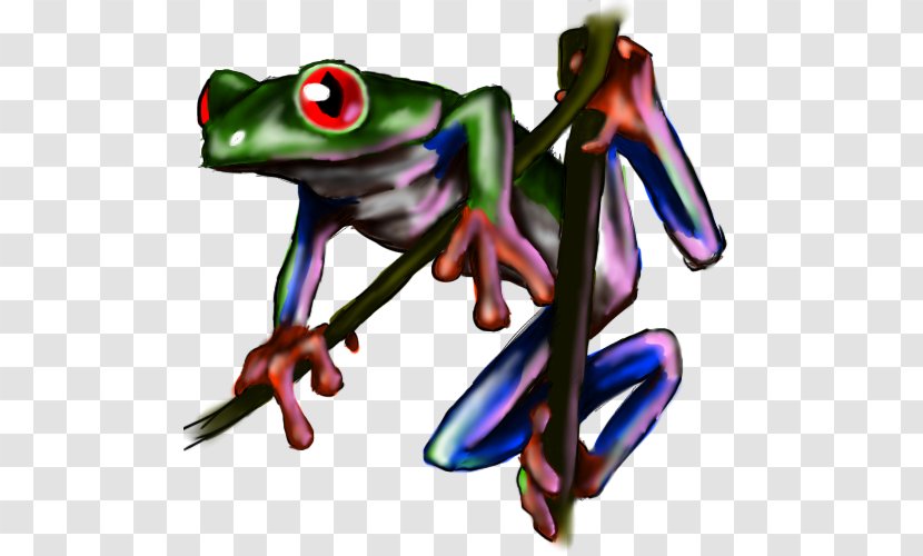 Tree Frog True Toad Clip Art - Ranidae Transparent PNG