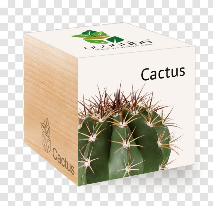 Plants Vs. Zombies: Garden Warfare 2 Cactaceae Succulent Plant - Cactus Transparent PNG