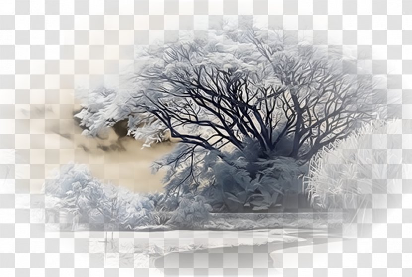 Landscape Nature Winter Snow - Freezing - Christmas Transparent PNG