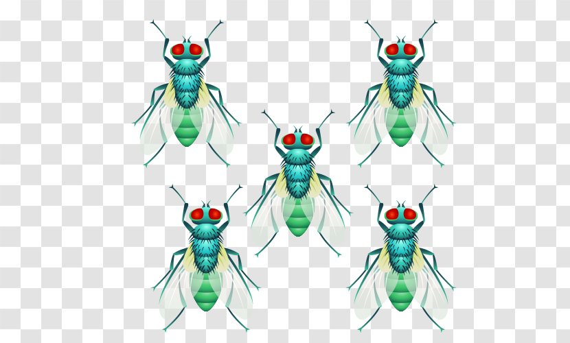 Fly Insect Flight Clip Art - Frame - A Group Of Flies Flying Transparent PNG