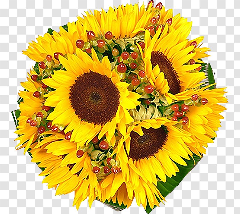 Common Sunflower Flower Bouquet Cut Flowers Transparent PNG