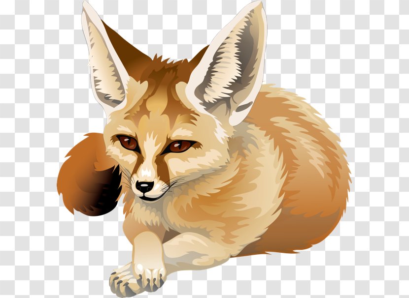 Red Fox Fennec Canidae Clip Art - Animal Transparent PNG