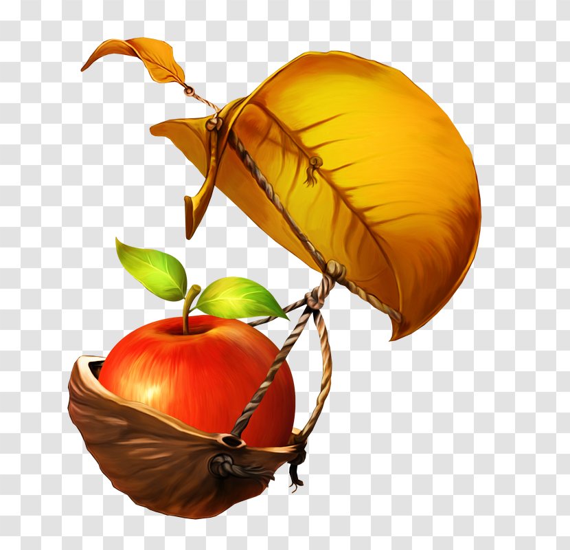 Tree Of Life - Vegetarian Food Transparent PNG