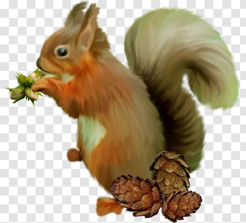 Chipmunk Squirrel GIMP Clip Art - Mammal - Sky Transparent PNG