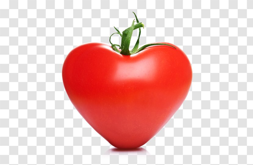 Tomato Vegetable Organic Food Lycopene - Bush Transparent PNG