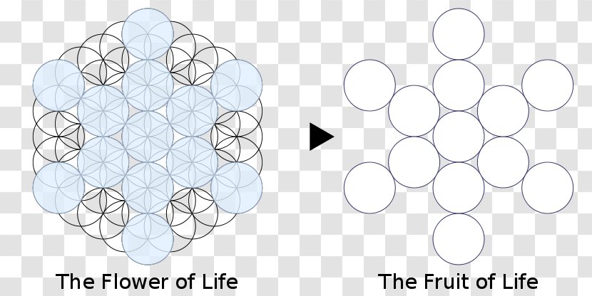 Sacred Geometry Overlapping Circles Grid Tree Of Life Symbol - Metatron - BRING ME THE HORIZON Transparent PNG