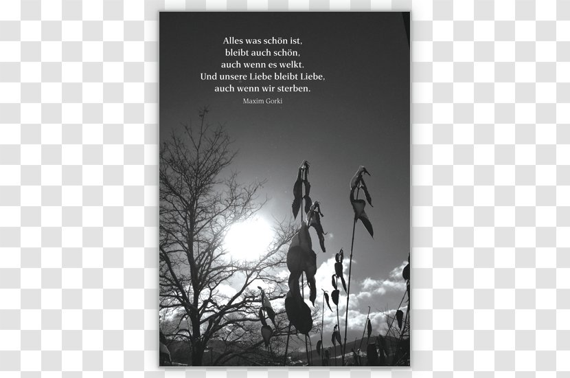 Condolences Mourning Trauerspruch Quotation Saying - Silhouette - Halloween Cards Transparent PNG