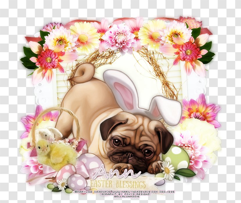 Pug Puppy Dog Breed Companion Yorkshire Terrier - Flower Bouquet Transparent PNG