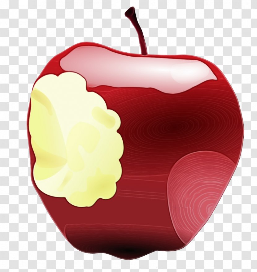 Red Fruit Apple Plant Food - Paint - Rose Order Family Transparent PNG