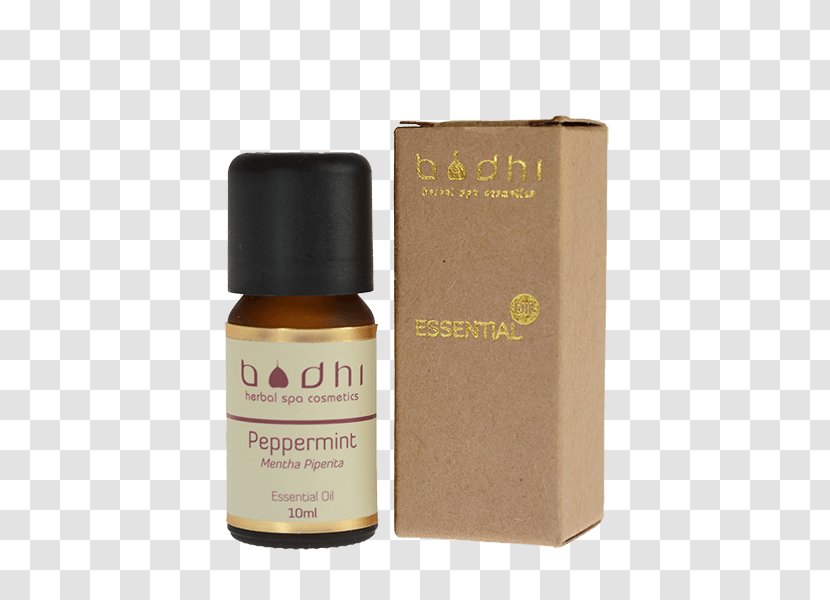 Peppermint Essential Oil Rosemary Spice Transparent PNG